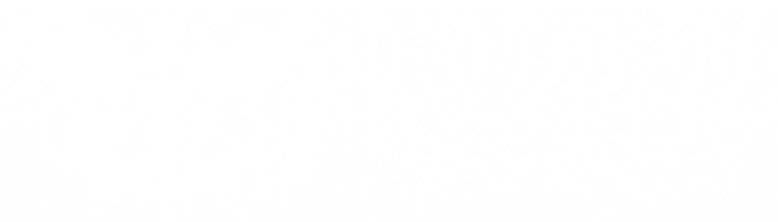 Healthcarehustlers.org Logo White transparent